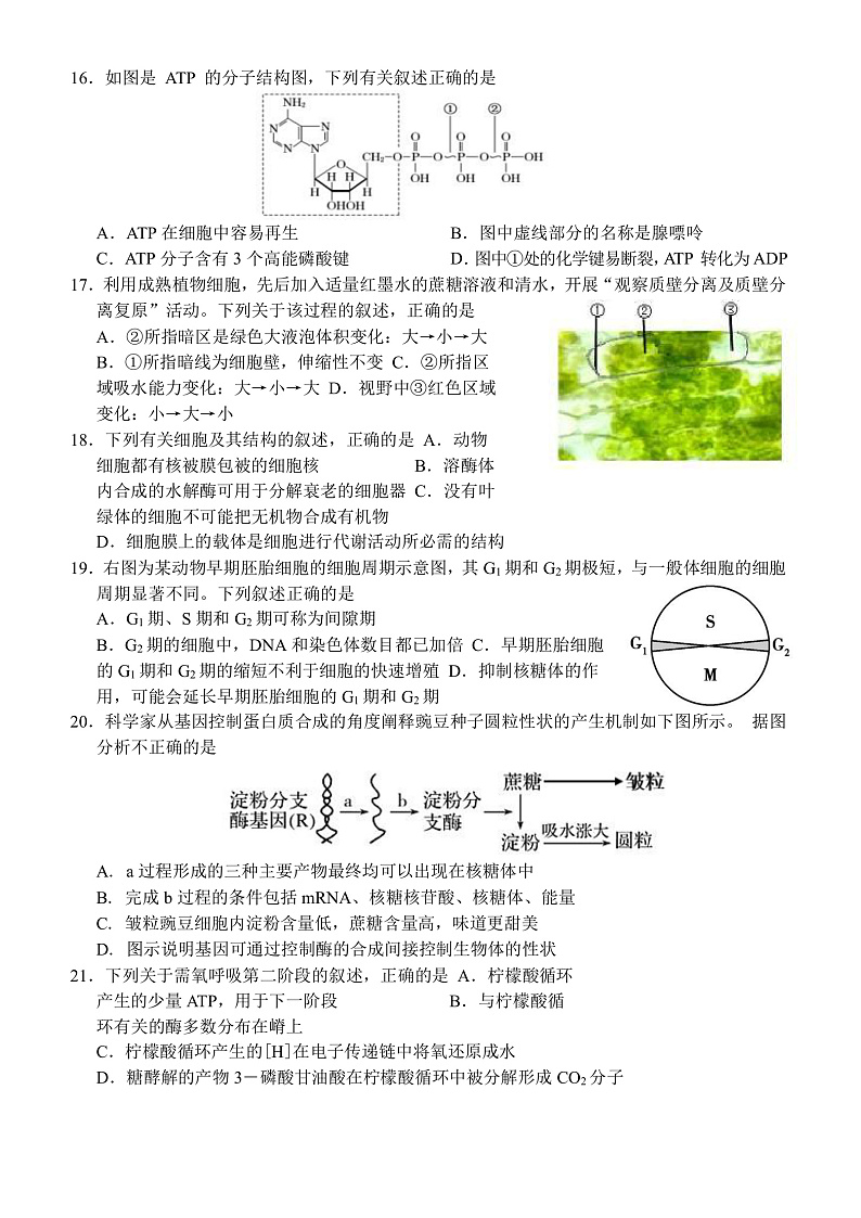 2020温州十五校联合体高一下学期期中考试生物试题含答案03