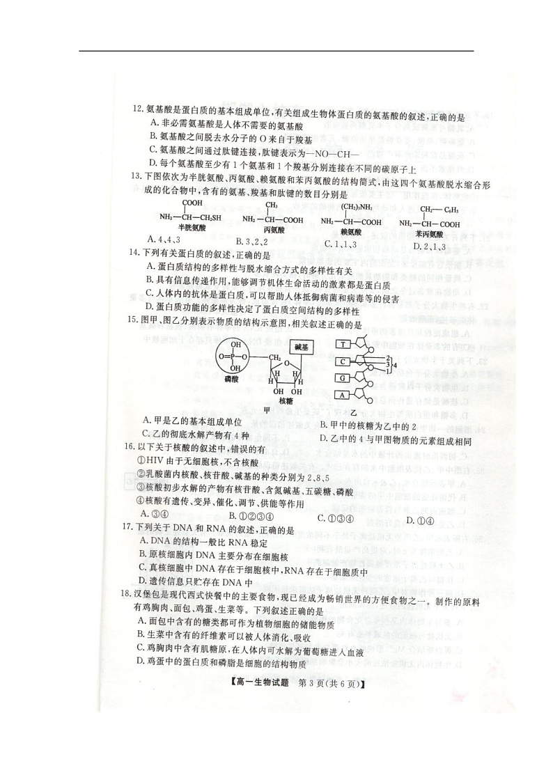 2020邯郸六校（大名县、磁县等六县一中）高一上学期期中考试生物试题扫描版含答案03