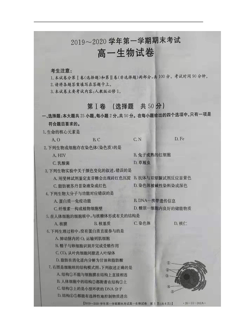 吉林省白城市通榆第一中学2019-2020学年高一上学期期末考试生物试题 扫描版含答案第1页