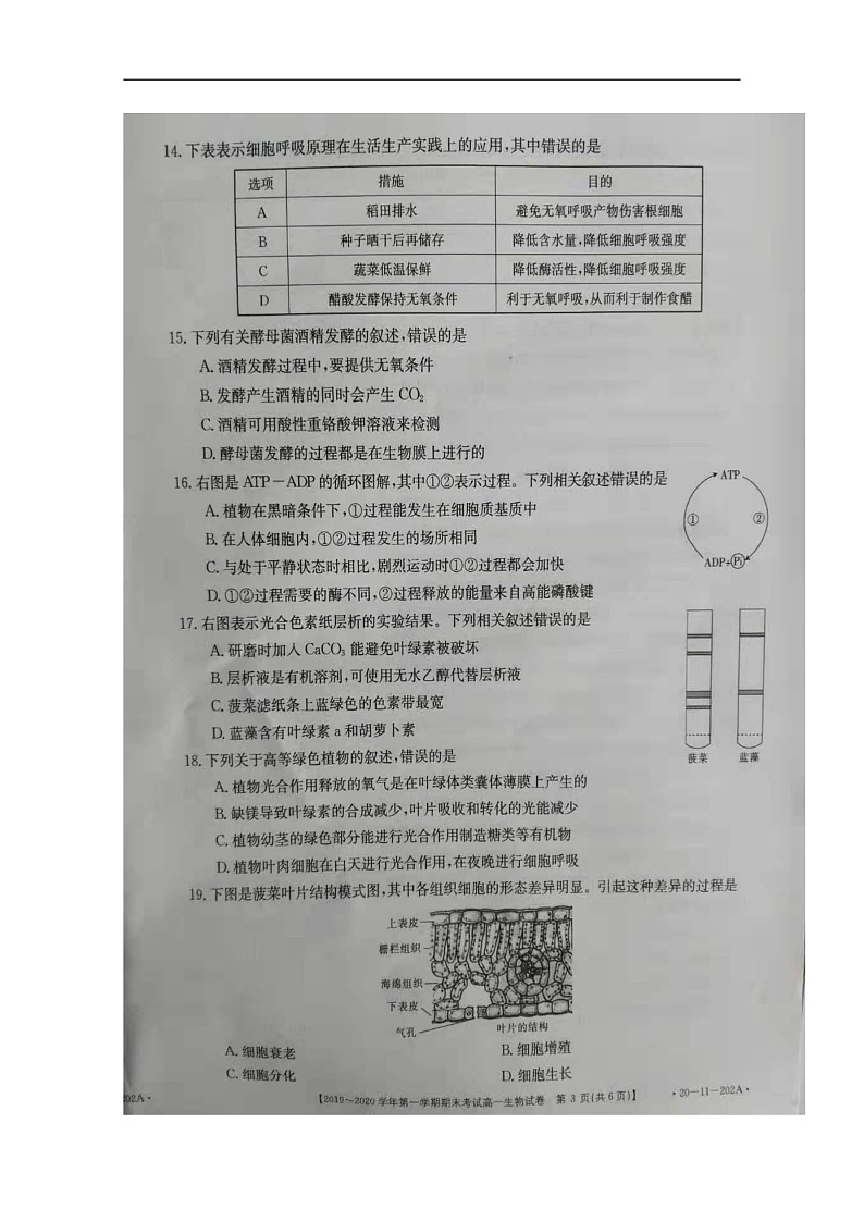 吉林省白城市通榆第一中学2019-2020学年高一上学期期末考试生物试题 扫描版含答案第3页