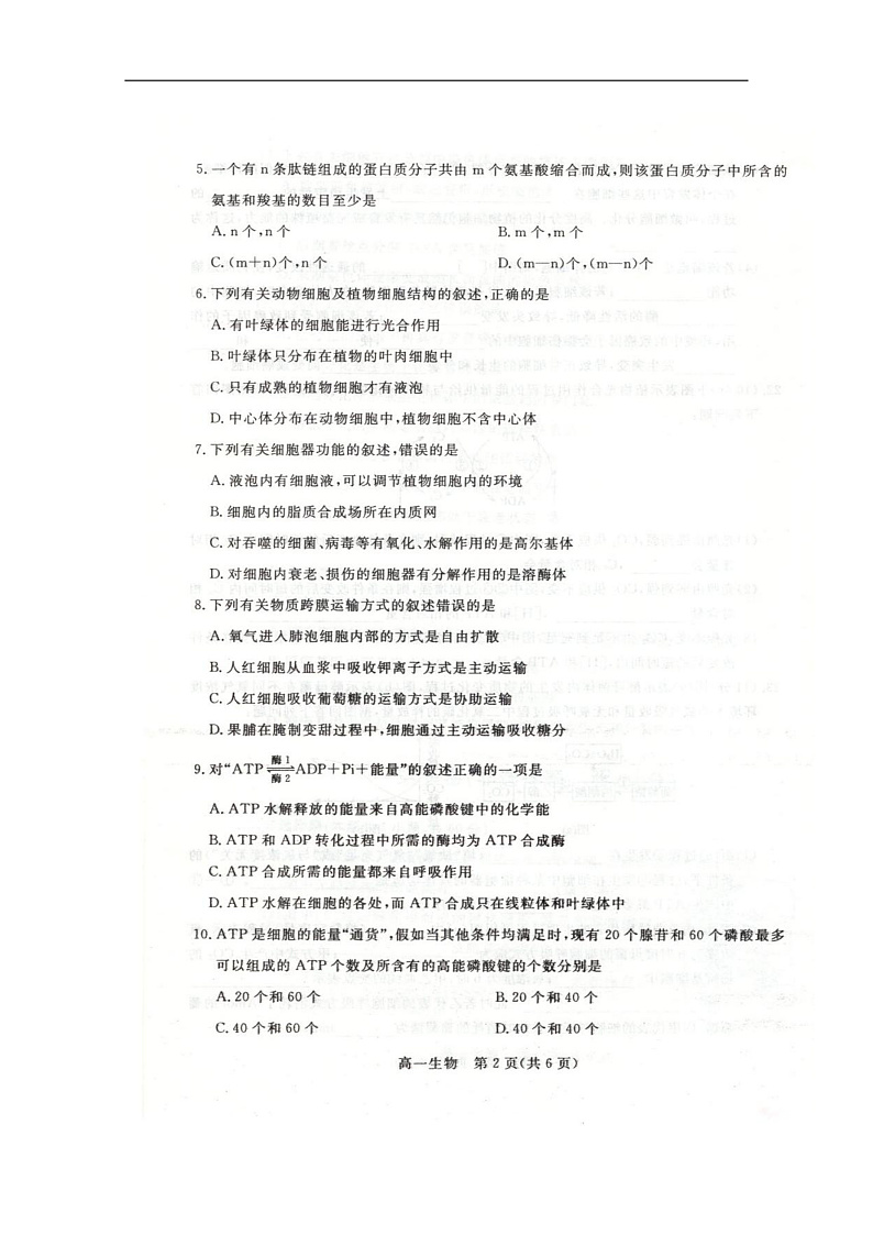 河北省邯郸市2019-2020学年高一上学期期末教学质量检测生物试题 扫描版含答案第2页