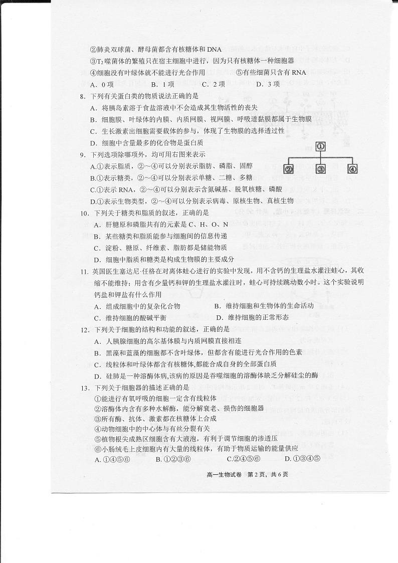 江西省上饶市2019-2020学年高一上学期期末生物试题（图片版）第2页
