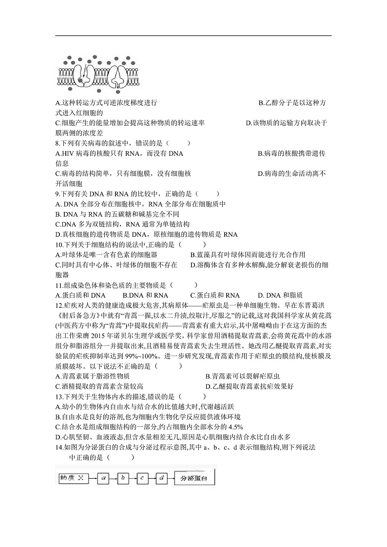 四川省棠湖中学2019-2020学年高一上学期期末模拟生物试题 Word版含答案第2页