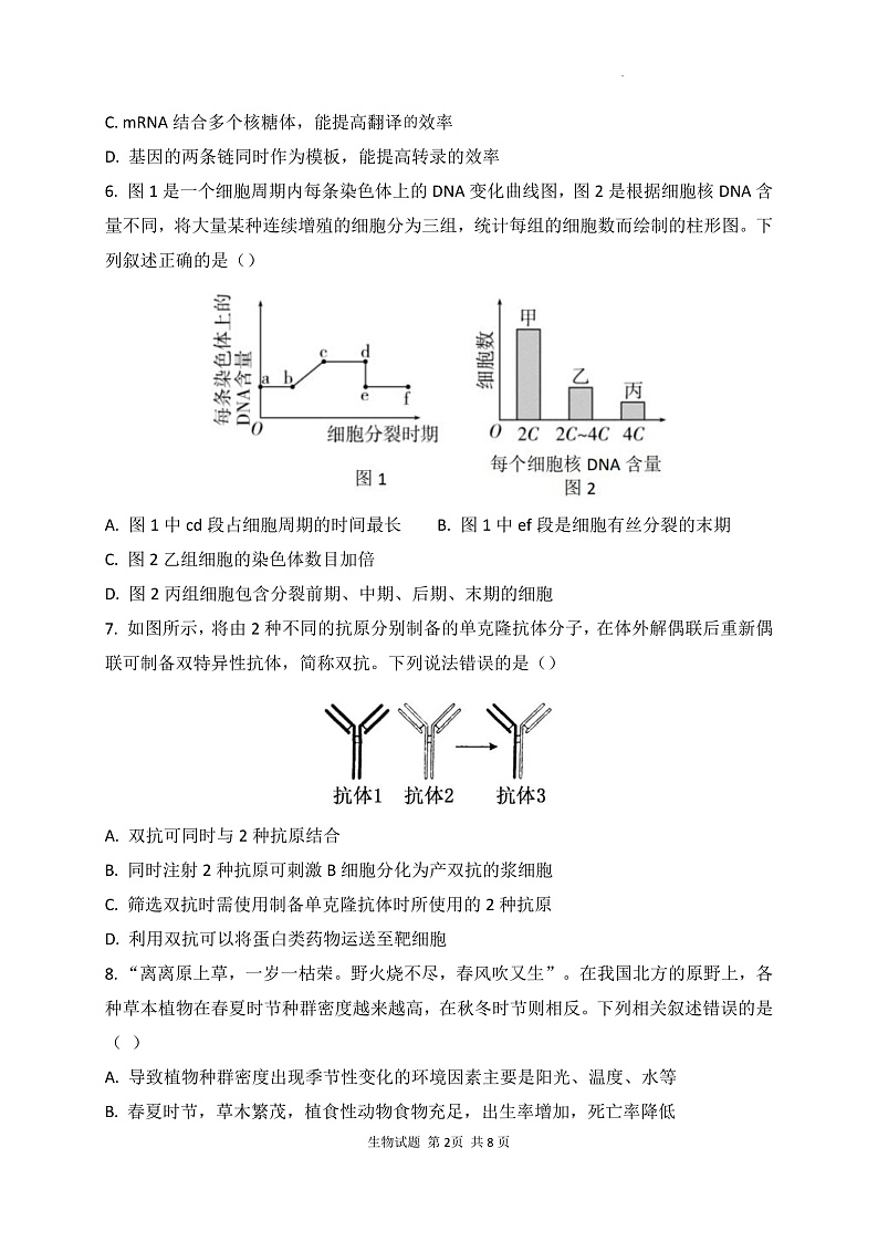 2023泉州四校（晋江二中、鹏峰中学、广海中学、泉港五中）高三上学期10月期中联考试题生物含答案02
