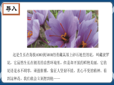 高教版中职高中语文基础模块上册 第5单元 《探界者钟扬》课件