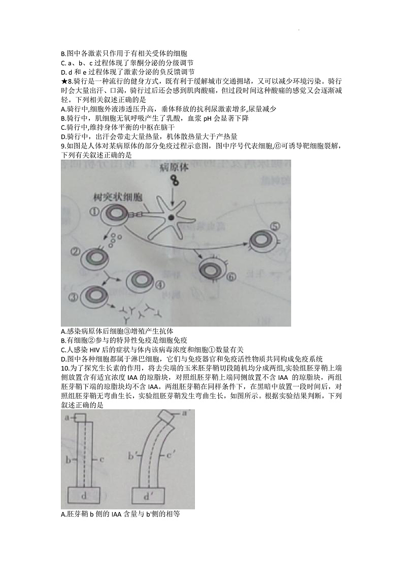 2023长沙长郡中学高二上学期期中考试生物试卷含答案03