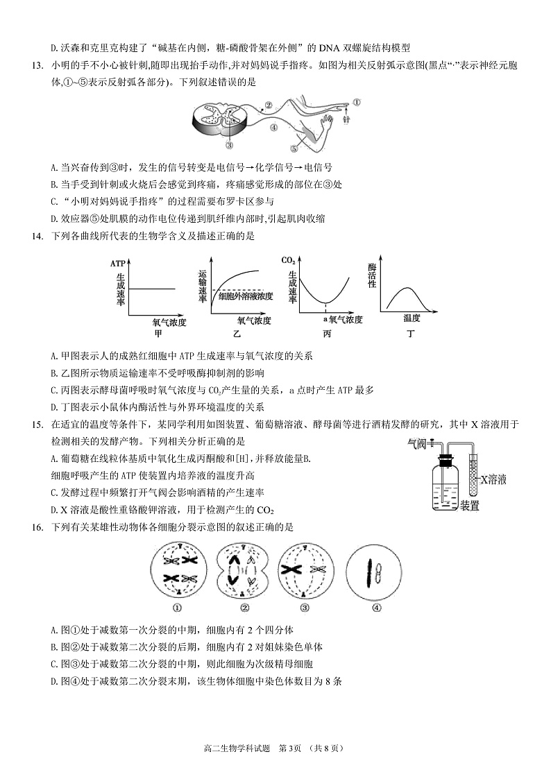 浙江省温州新力量联盟2022-2023学年高二上学期期中联考生物试题第3页