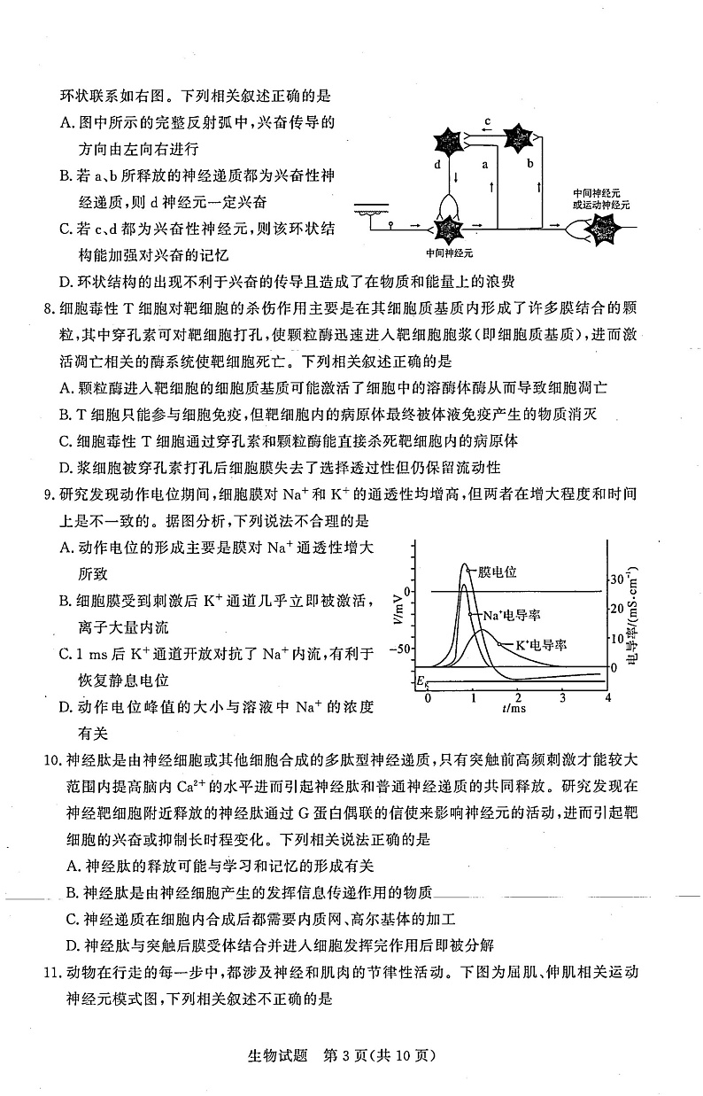 湘豫名校联考2022- 2023学年高二(上)阶段考试(一) 生物第3页