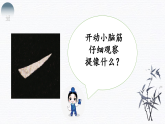 第5课《提》课件+教案