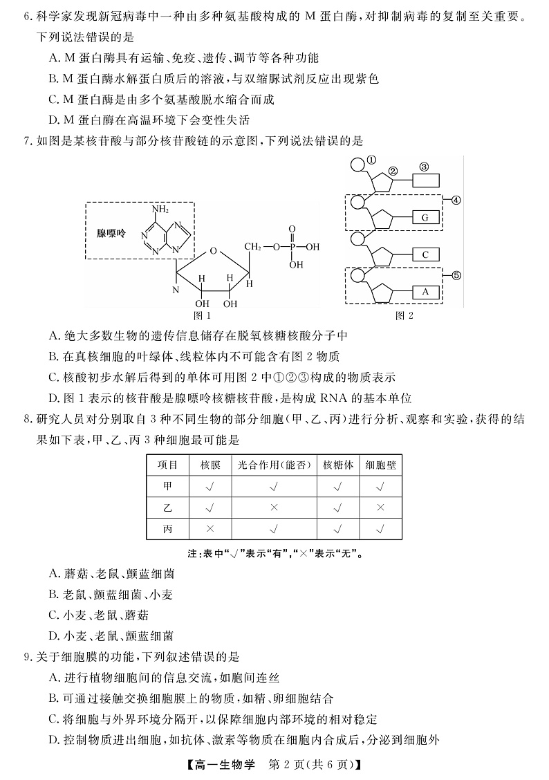 2023黔东南六校联盟高一上学期期中联考生物试卷含答案02