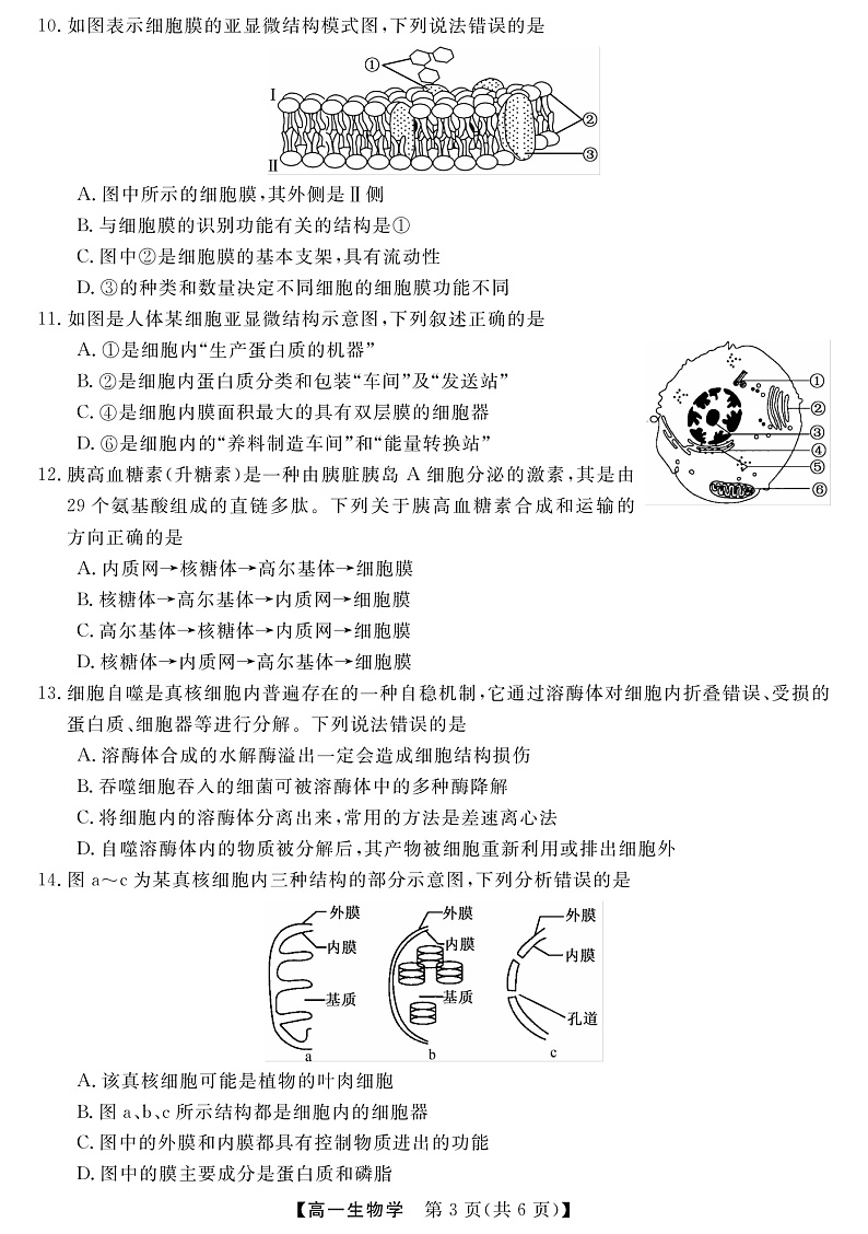 2023黔东南六校联盟高一上学期期中联考生物试卷含答案03
