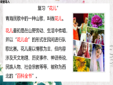 【核心素养目标】人音版音乐八下3.4 花儿与少年 课件+教学设计+素材
