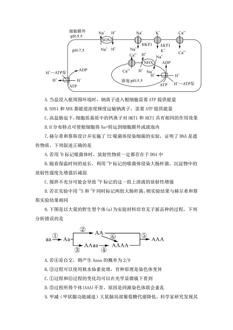湖南省五市十校教研教改联合体2022-2023学年高二上学期期中考试生物试题第3页