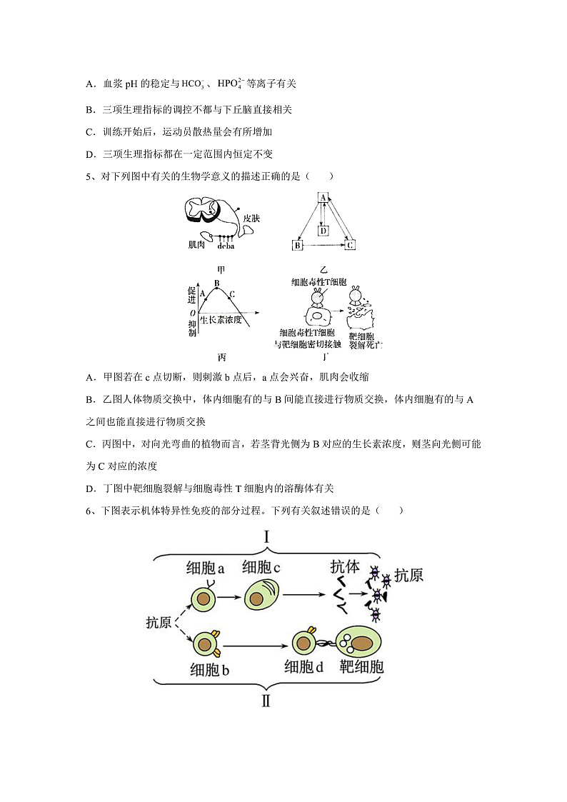 2022-2023学年河南省鹤壁市高中高二上学期11月居家测试 生物 PDF版02