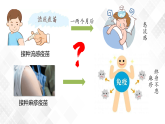 4.4 免疫学的应用-高中生物 课件+练习（人教版2019 选择性必修1）
