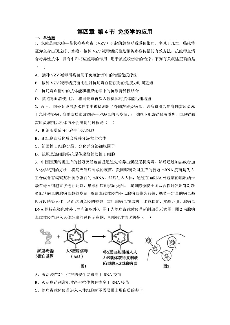 4.4 免疫学的应用-高中生物 课件+练习（人教版2019 选择性必修1）01