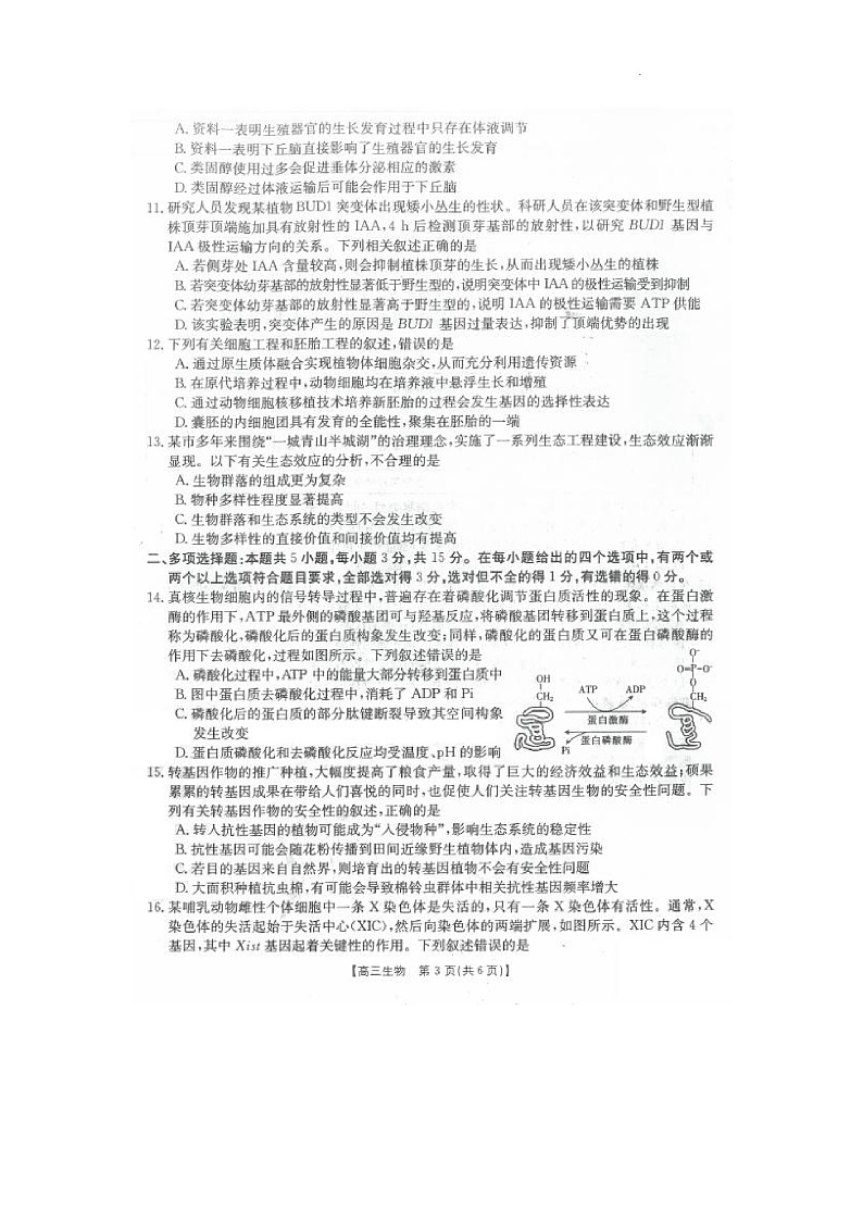 2023河北省沧衡八校联盟高三上学期11月期中联考生物试题扫描版含答案03