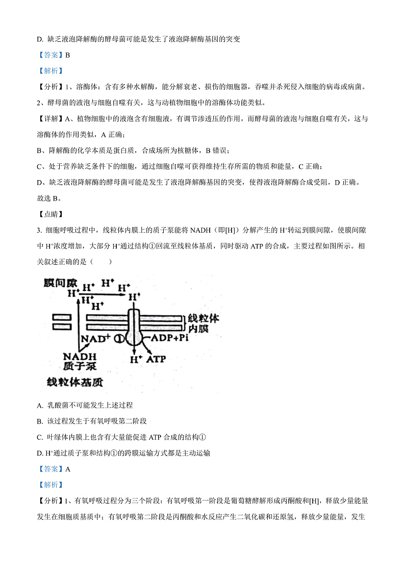江苏省海安市实验中学2022-2023学年高三9月月考生物试题  Word版含解析   第2页
