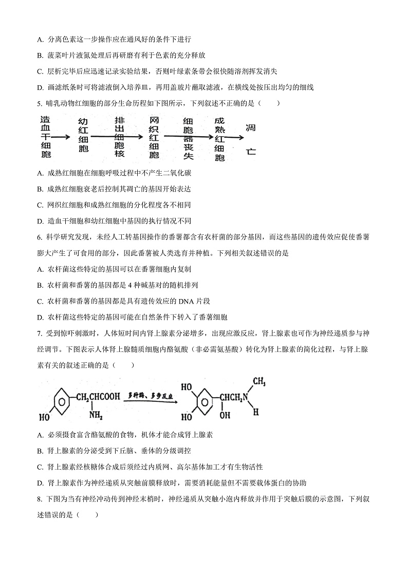 江苏省海安市实验中学2022-2023学年高三9月月考生物试题  Word版无答案   第2页