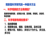 1.1.1生物的特征 课件