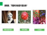 1.1.1生物的特征 课件