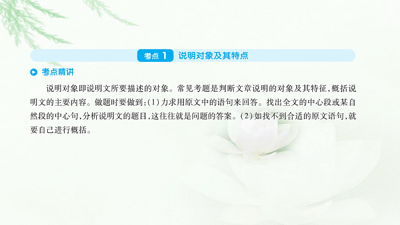 专题十三说明文阅读第1页