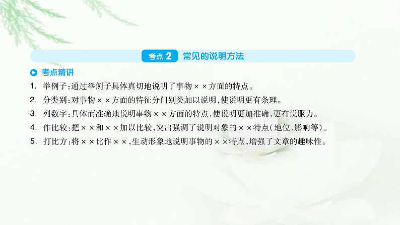 专题十三说明文阅读第2页