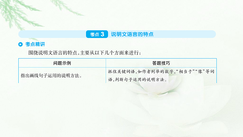 专题十三说明文阅读第3页