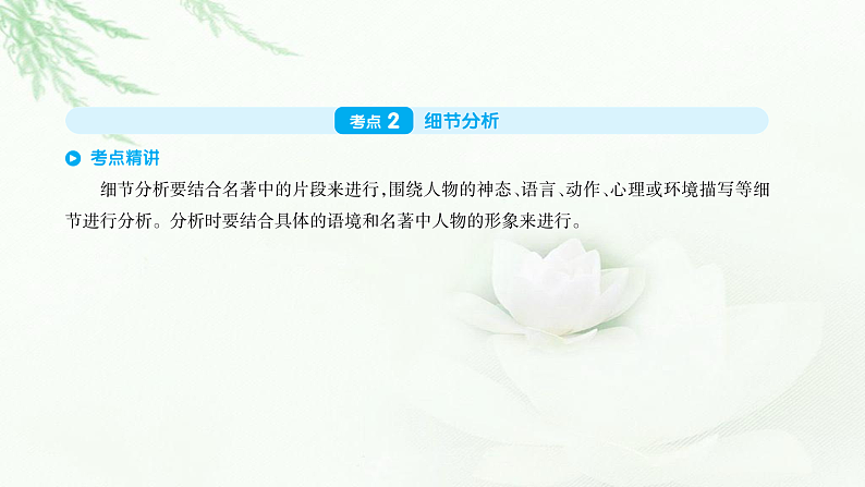 专题十五名著阅读第2页