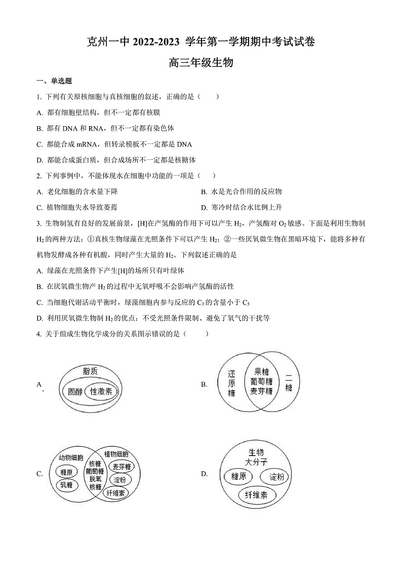 2023维克孜勒苏柯尔克孜自治州一中高三上学期11月期中考试生物含解析01