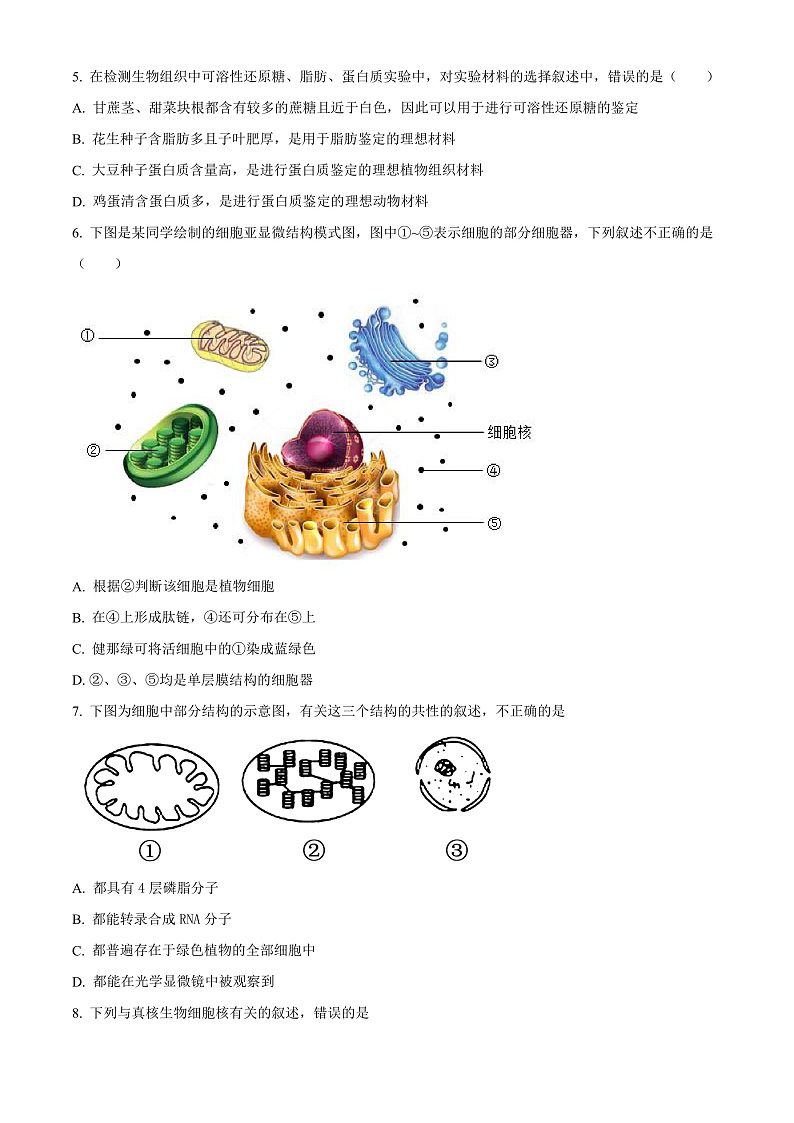 2023维克孜勒苏柯尔克孜自治州一中高三上学期11月期中考试生物含解析02
