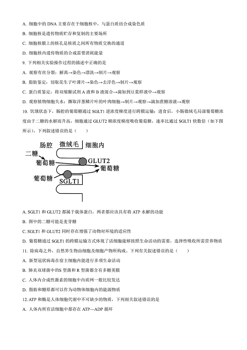 2023维克孜勒苏柯尔克孜自治州一中高三上学期11月期中考试生物含解析03
