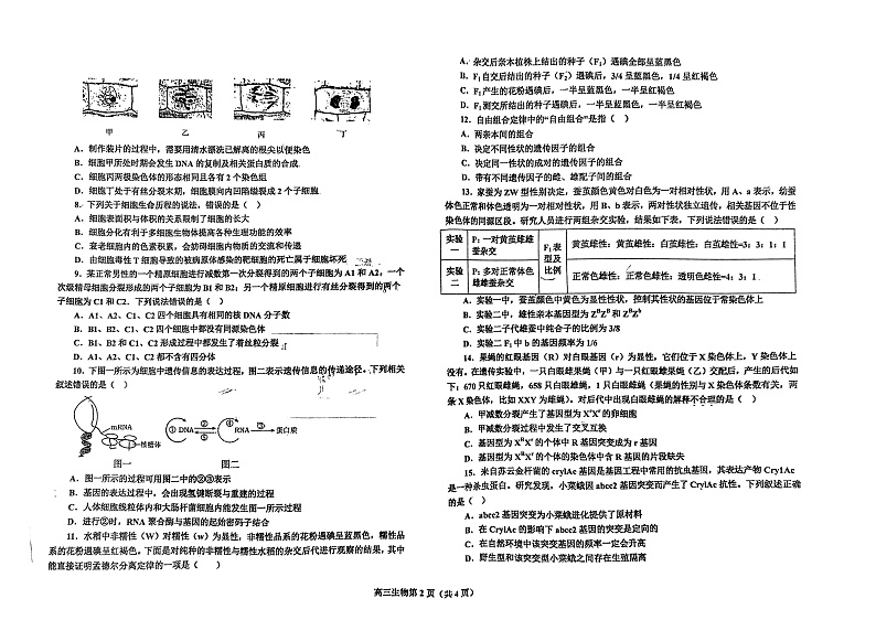辽宁省鞍山市普通高中2022-2023学年高三上学期期中测试生物试题第2页