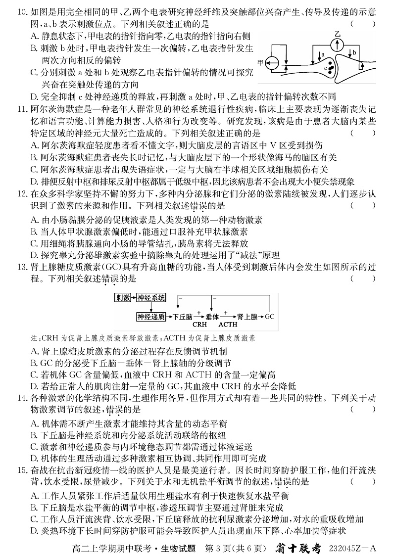2023省十联考（合肥八中等）高二上学期期中考试生物PDF版含解析（可编辑）03