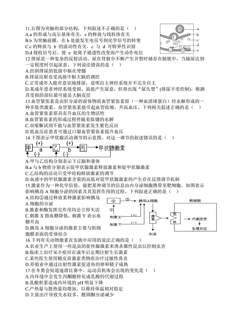 2023山西大学附中高二上学期11月期中考试生物含答案03