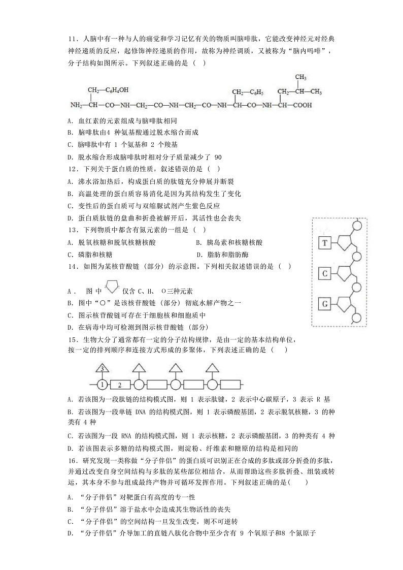 2023福州三中高一上学期期中检测试题生物含答案03