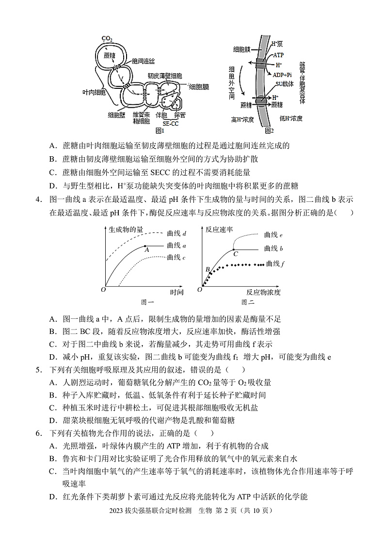 2023重庆市西南大附中高三上学期11月拔尖强基联合定时检测生物试题PDF版含答案（可编辑）02