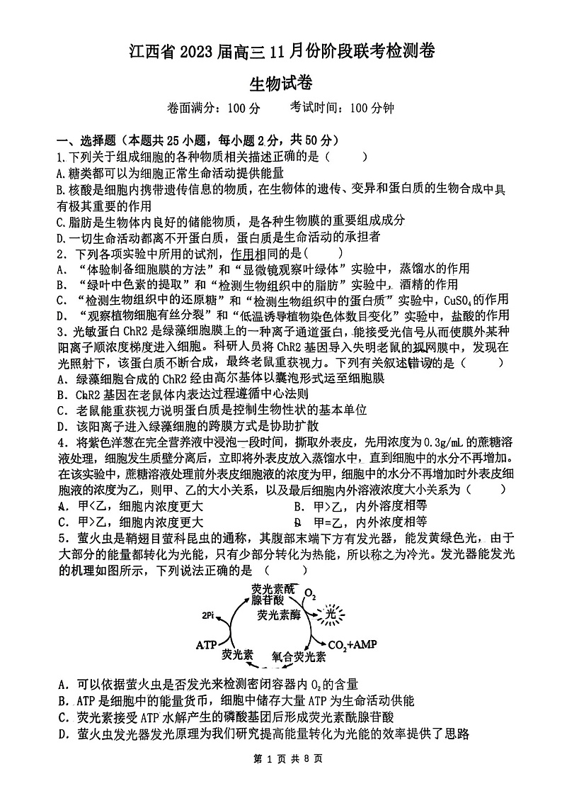 2023江西省高三上学期11月阶段联考检测卷生物PDF版含答案01