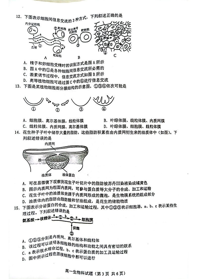 2023琼海嘉积中学高一上学期第二次月考试题（期中）生物PDF版含答案03