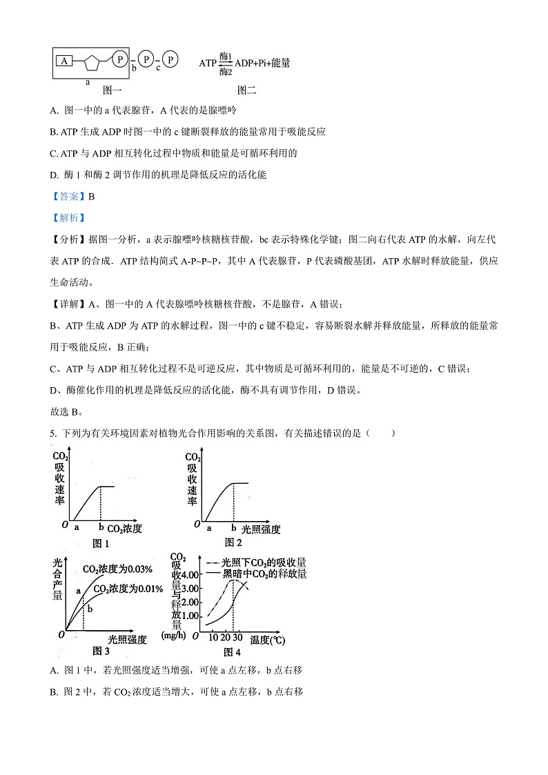 2023长沙同升湖实验学校高三上学期第三次月考生物试题含解析03
