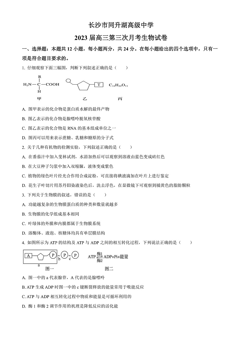 2023长沙同升湖实验学校高三上学期第三次月考生物试题含解析01