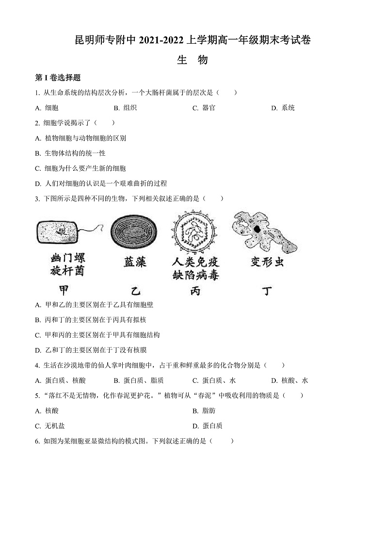 2022昆明师范专科学校附中高一上学期期末考试生物试题含解析01