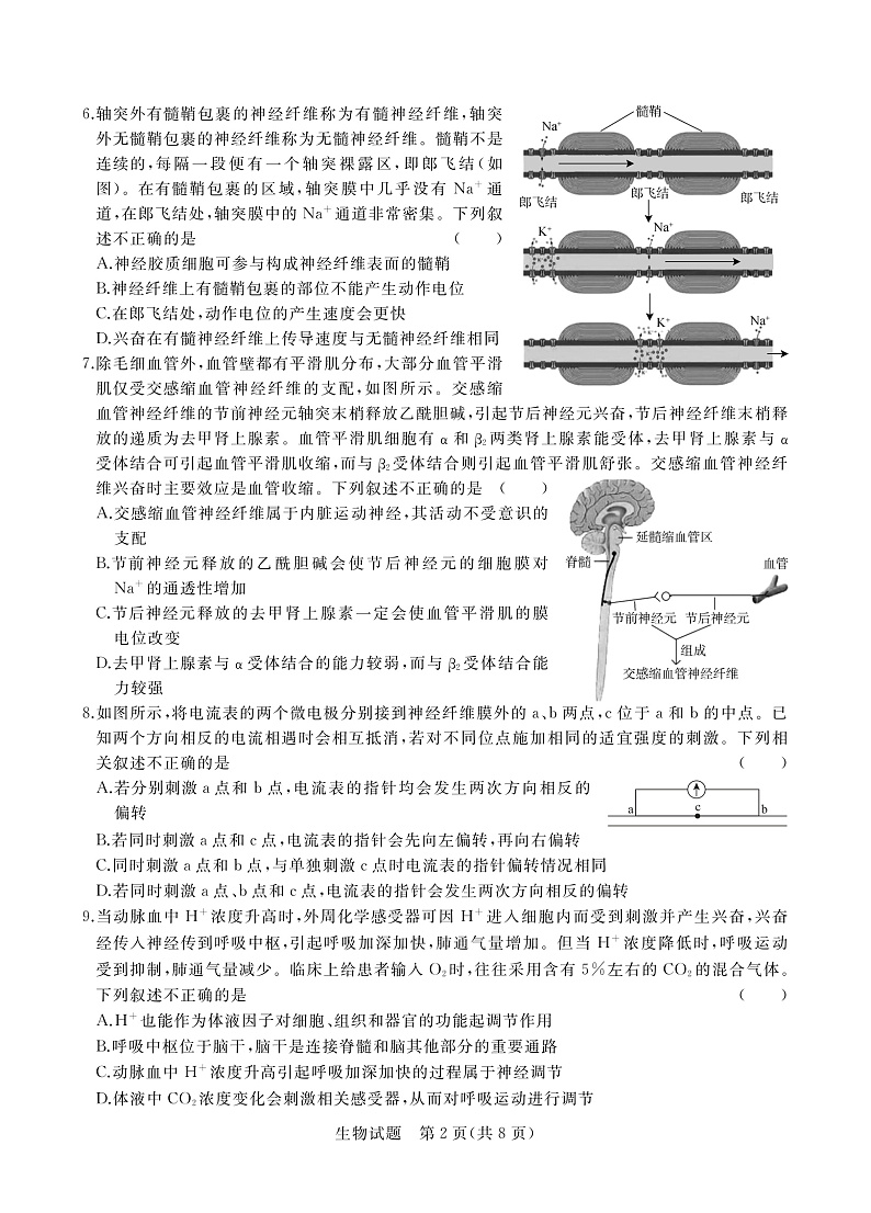 河南省青桐鸣2022-2023学年高二上学期期中联考生物试题第2页