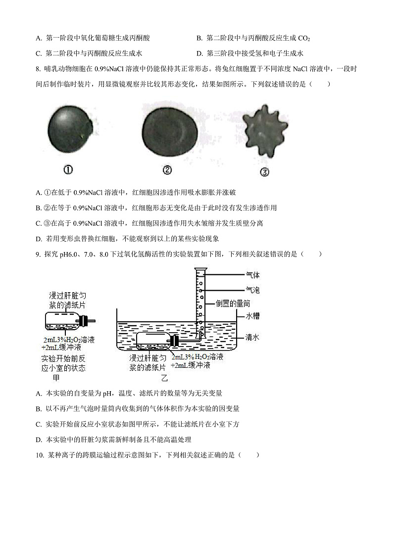 浙江省绍兴市2021-2022学年高一上学期期末调测生物试题  Word版无答案第2页