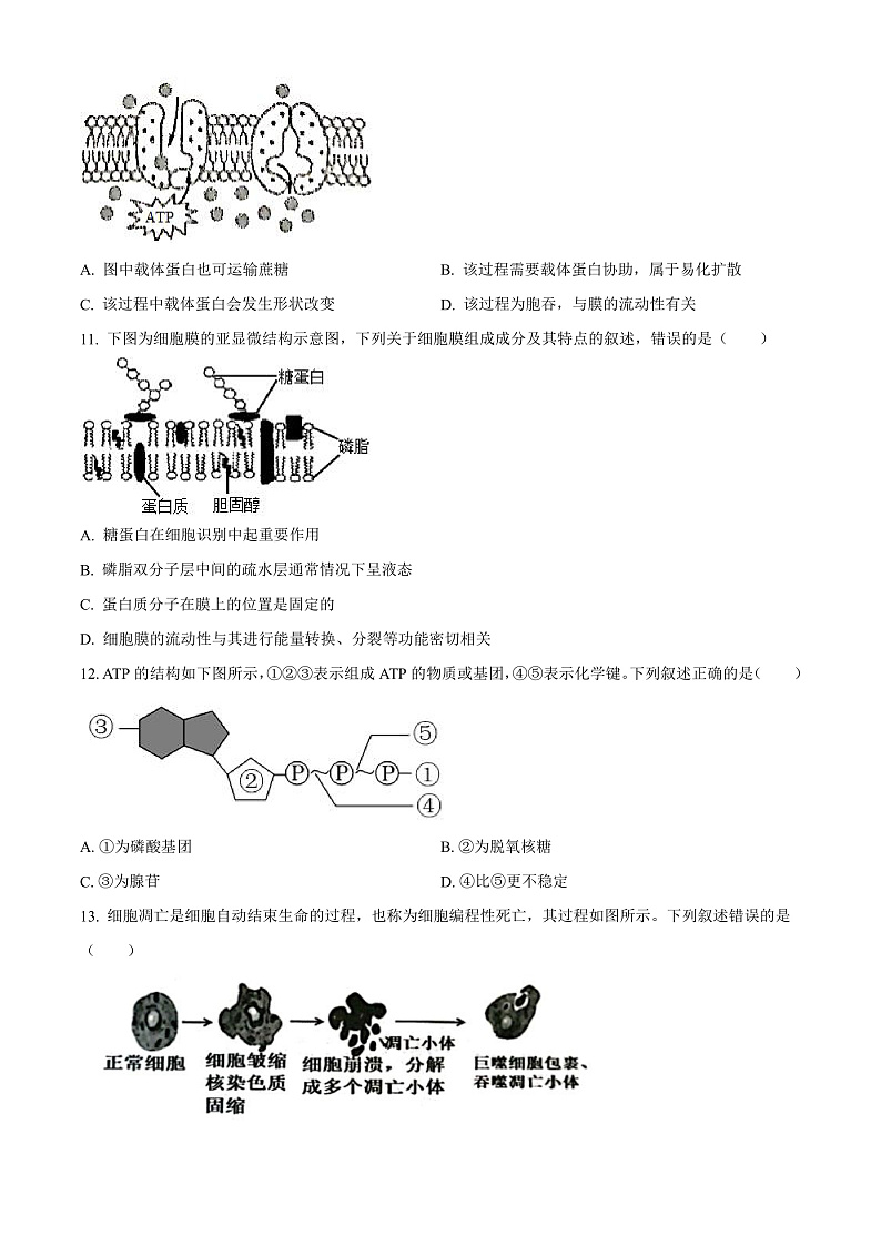 浙江省绍兴市2021-2022学年高一上学期期末调测生物试题  Word版无答案第3页