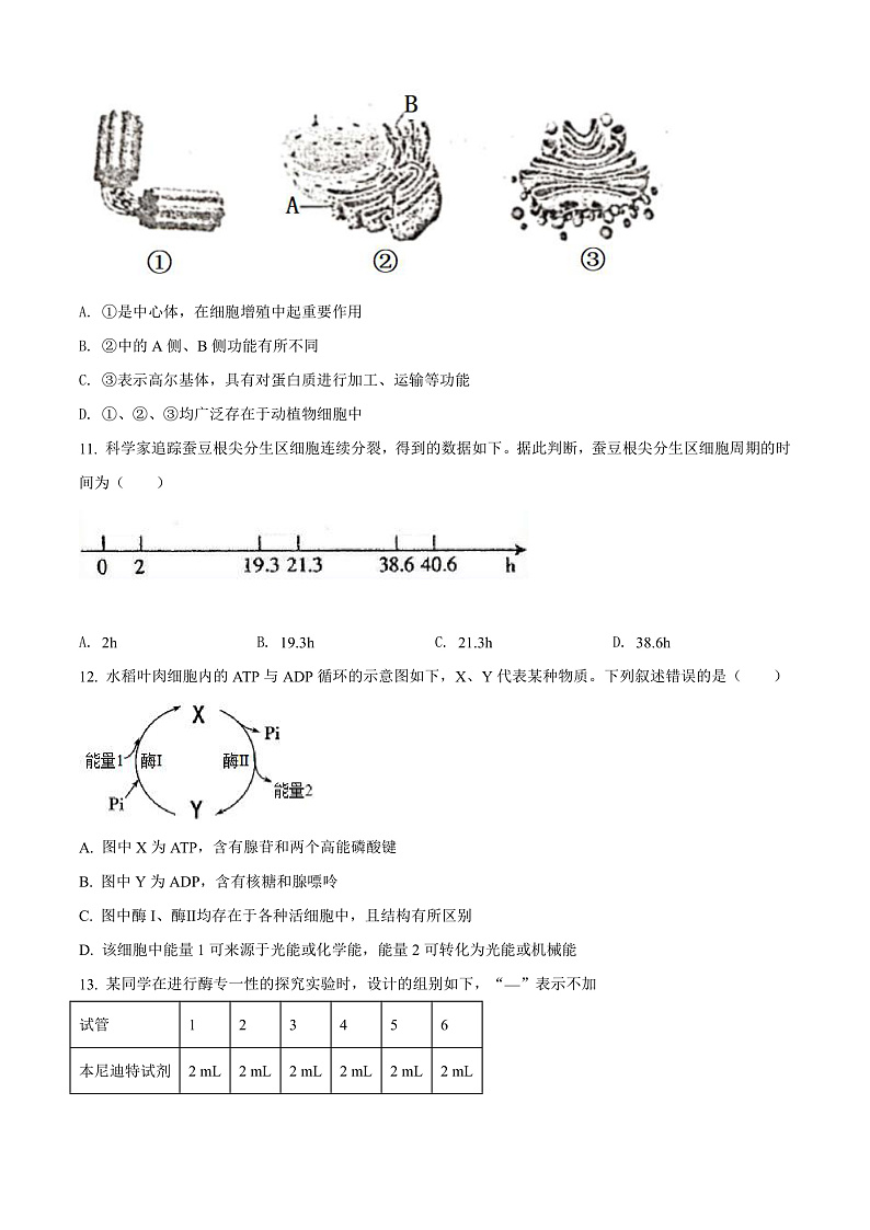 2022金华十校高一上学期期末考试生物含解析03