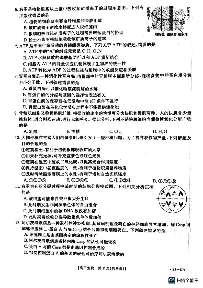 辽宁省抚顺市重点高中2022-2023学年高三12月考试生物试题第2页