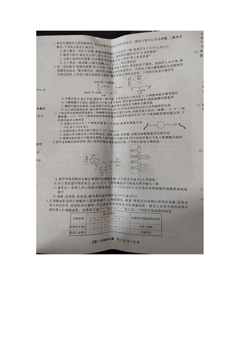 2023湖南省部分学校高一上学期12月选科调研考试生物图片版含解析02