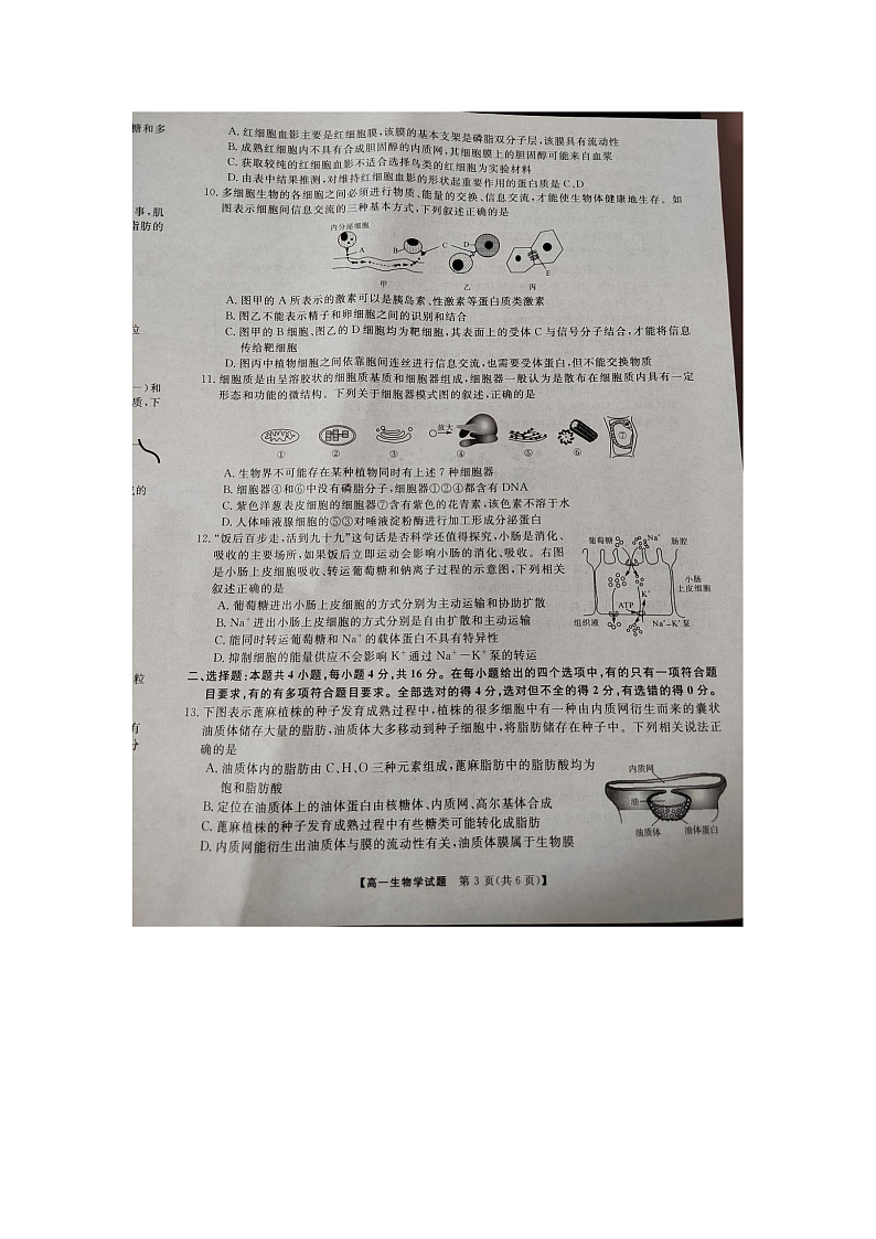 2023湖南省部分学校高一上学期12月选科调研考试生物图片版含解析03