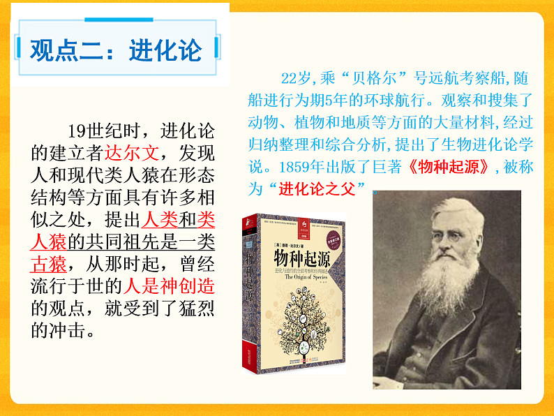 4.1.1 人类的起源和发展-课件（人教版）第5页